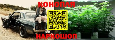 дмт Бузулук
