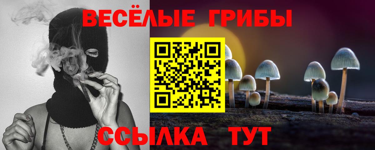 Псилоцибиновые грибы Magic Shrooms Люберцы